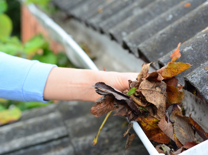 cleaning gutter