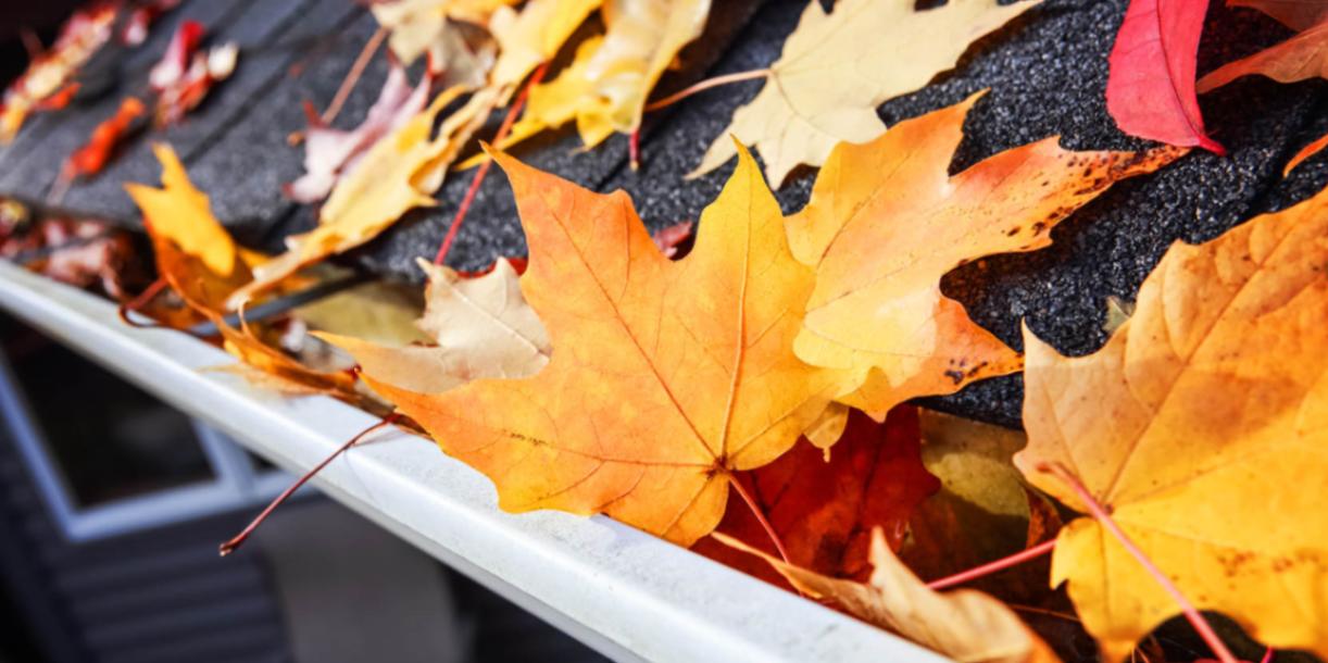 How to Keep Leaves out of Gutters